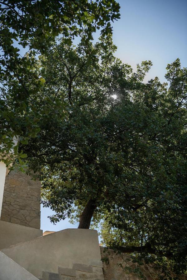 Velanis Ηouse, Style Into Nature - Secluded 基萨莫斯 外观 照片